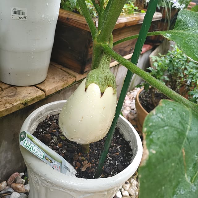yuuさんの部屋