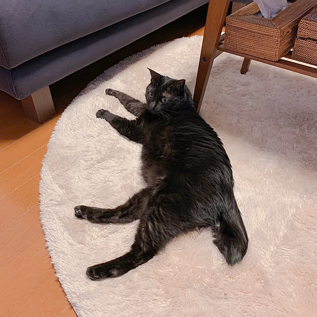 mameazさんの部屋