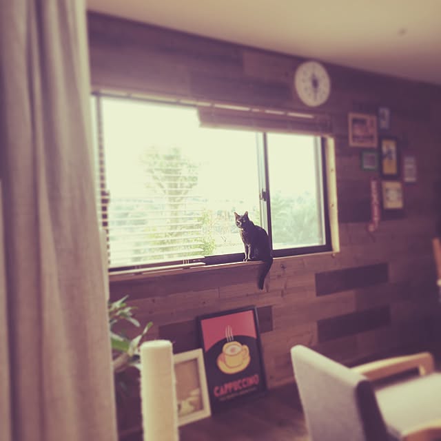 Manamiさんの実例写真