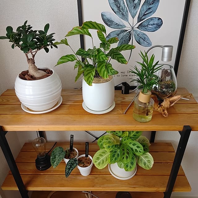 Xign_1992さんの実例写真