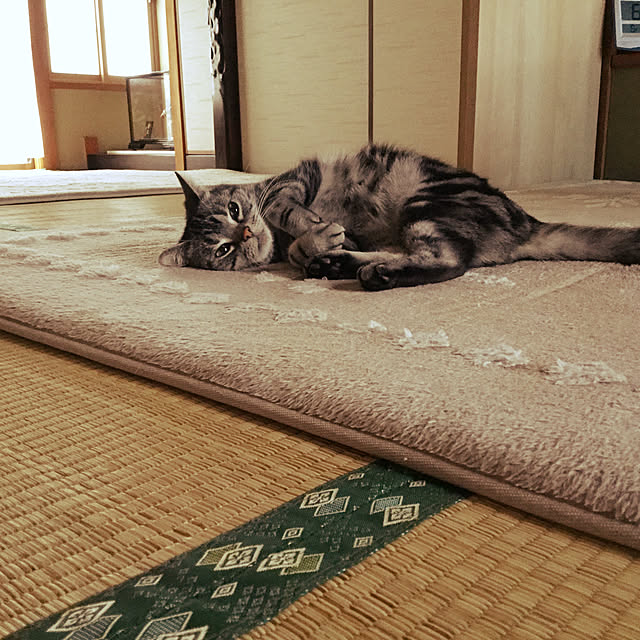 richanさんの実例写真