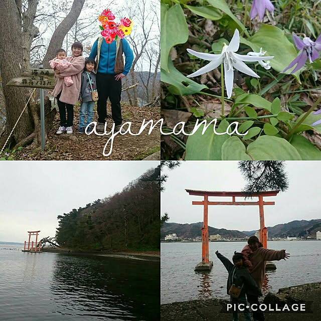 ayamamaさんの実例写真