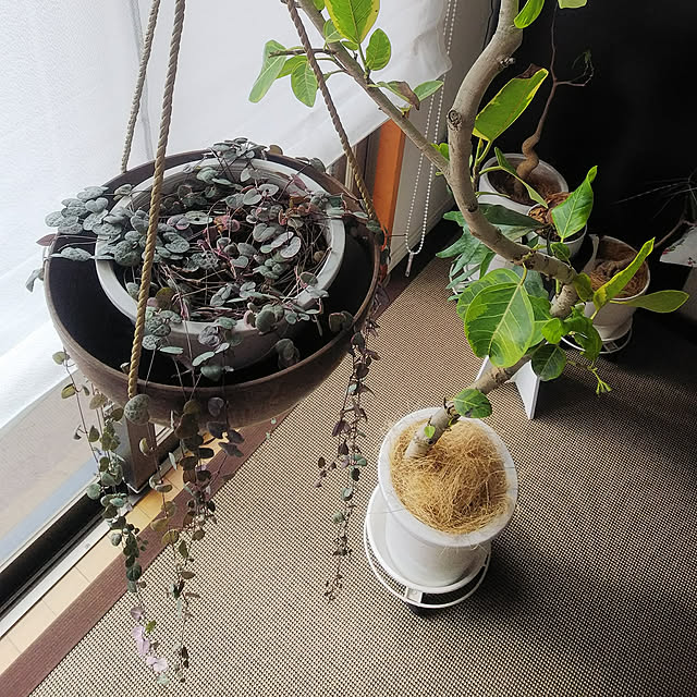 n0516さんの実例写真