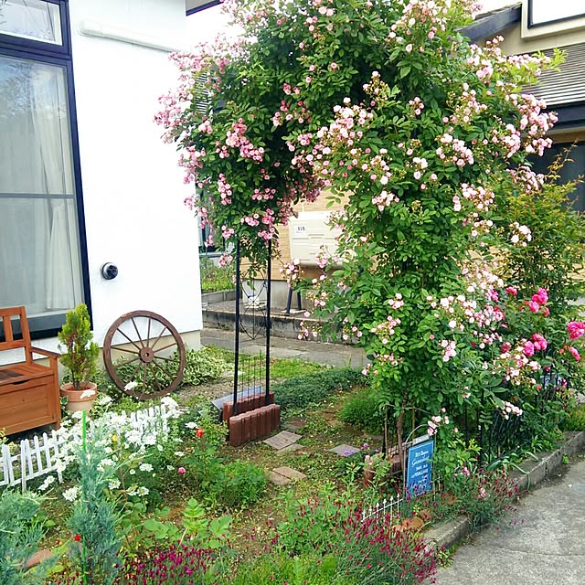 Midoriさんの実例写真