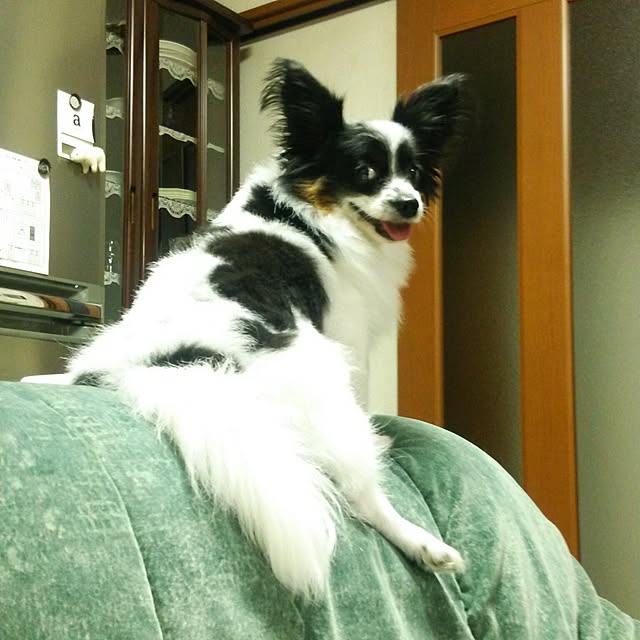 Smileberryさんの実例写真