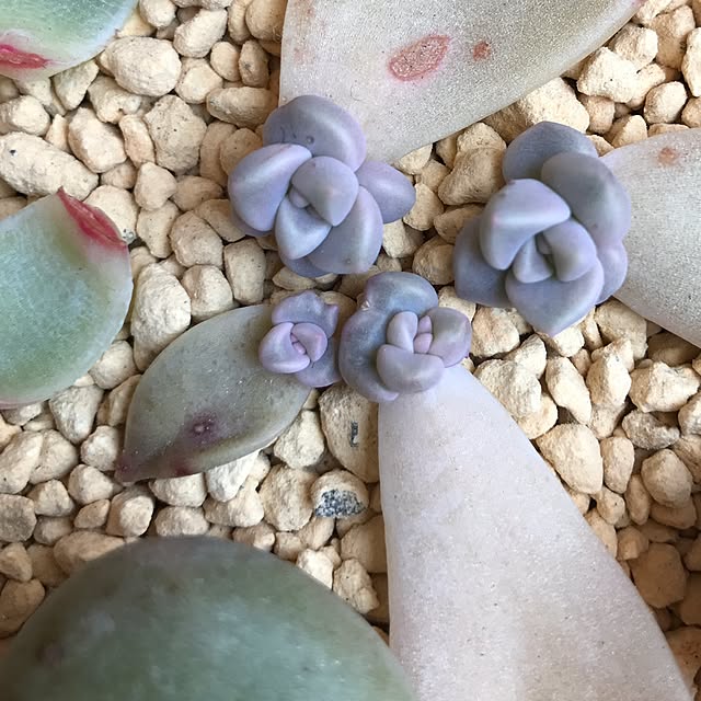 akakou88629さんの実例写真