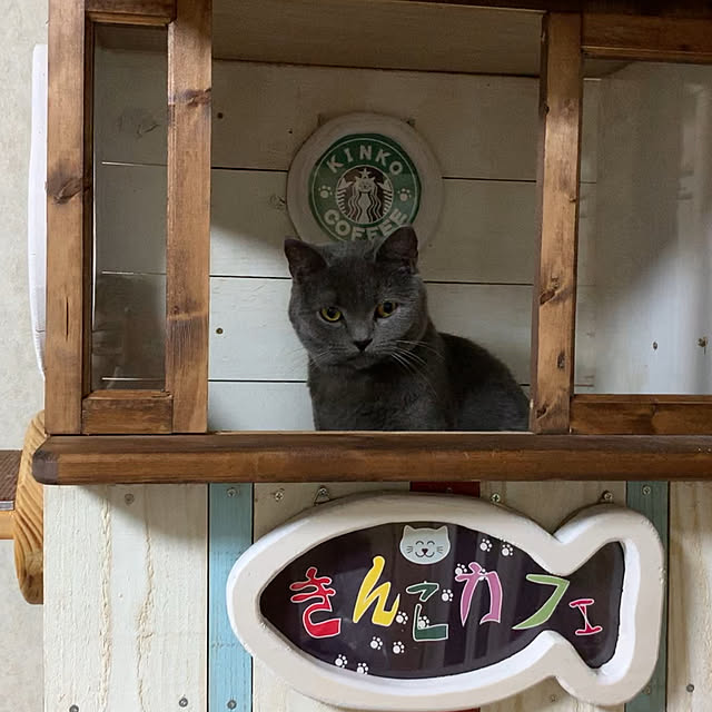 masaさんの実例写真