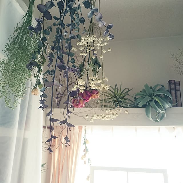 miho.okuさんの実例写真