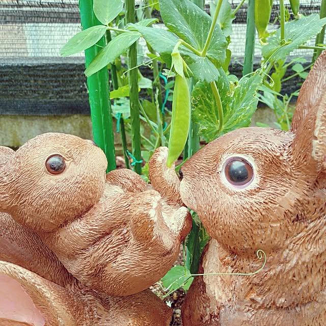 mocomocoさんの実例写真