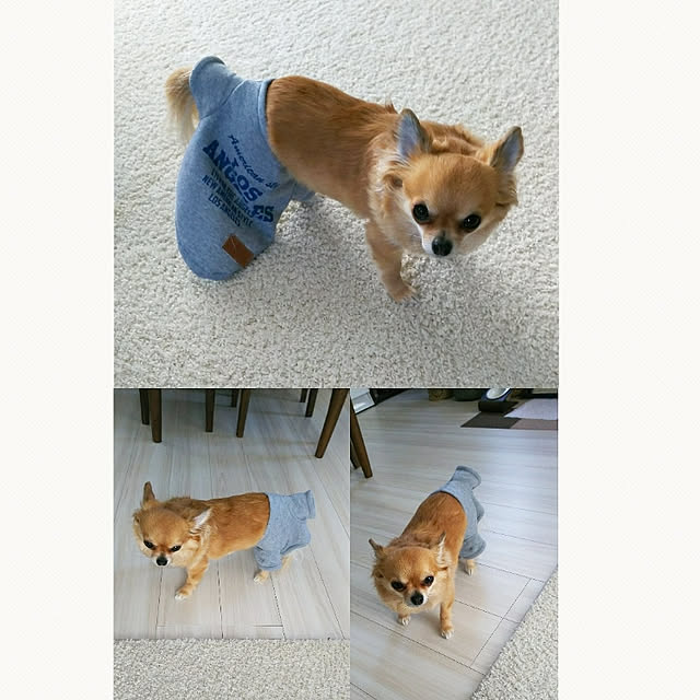 kojikojiさんの実例写真