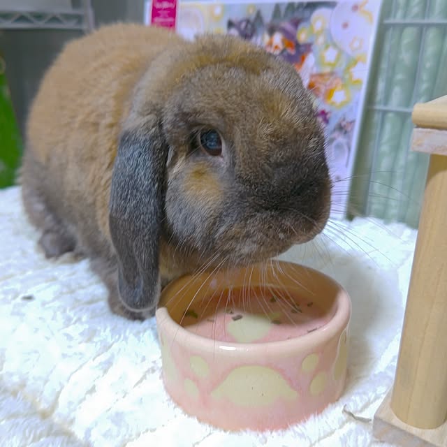 mariaさんの部屋