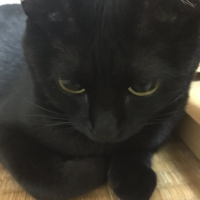 mahi1101さんの実例写真