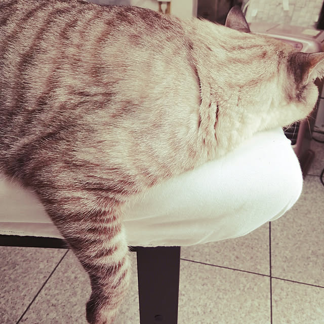 Manaさんの実例写真