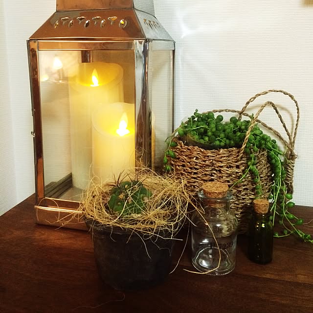 棚/キャンドル/100均/観葉植物/多肉植物...などのインテリア実例 - 2015-03-18 23:29:05