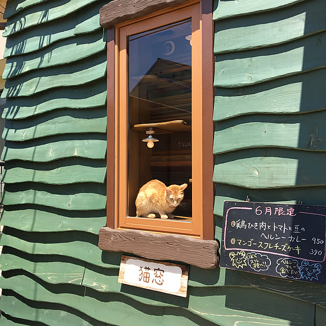 shigimiさんの実例写真