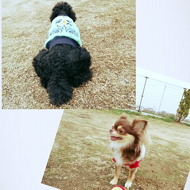 ChocolateNandasさんの実例写真