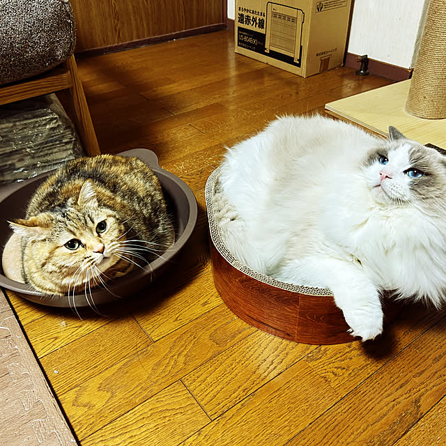 keibooさんの実例写真
