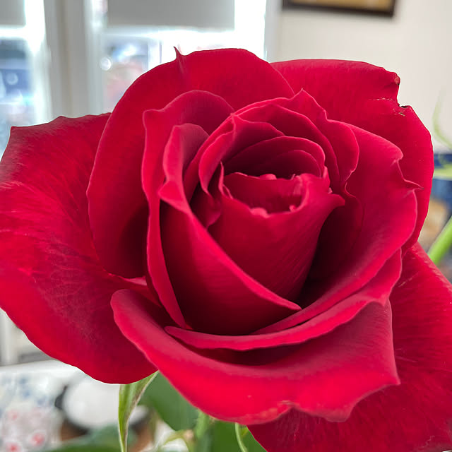 Andaluciaさんの実例写真