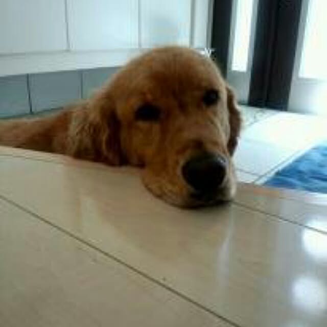 toshioさんの実例写真