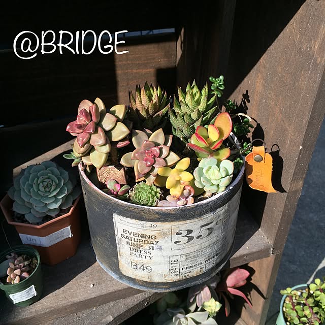bridge2080さんの実例写真