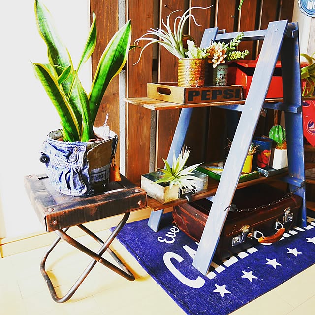 andante365さんの実例写真