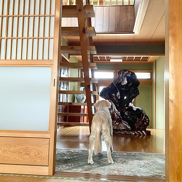 minu5656さんの実例写真