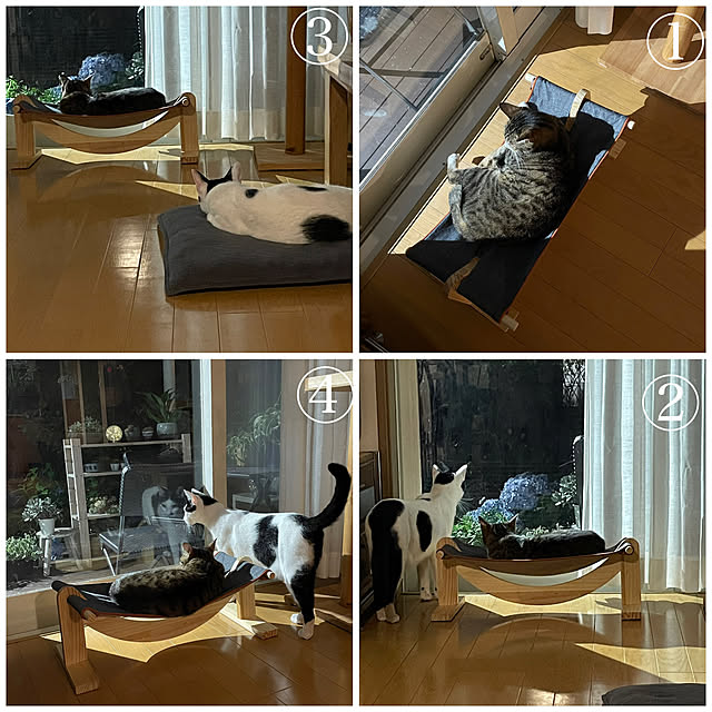 nobikoさんの実例写真