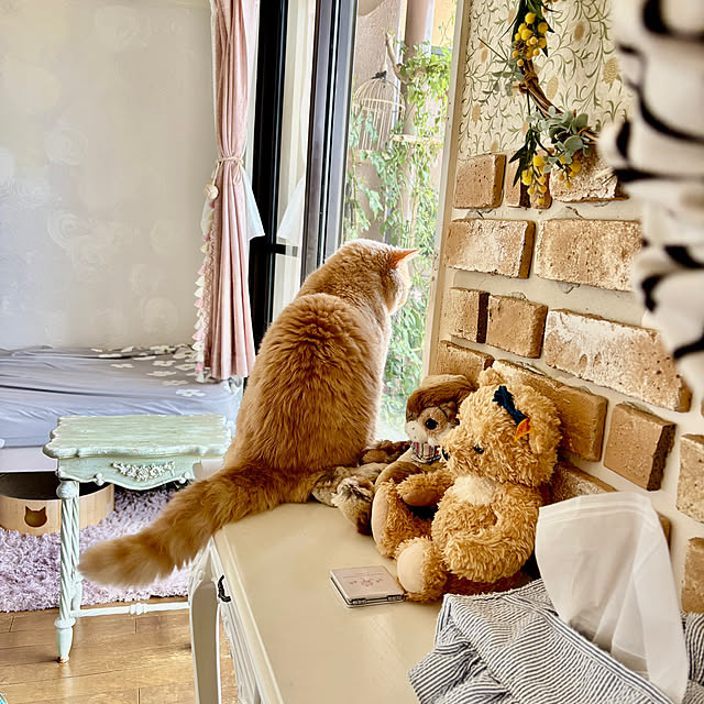 naokoさんの実例写真