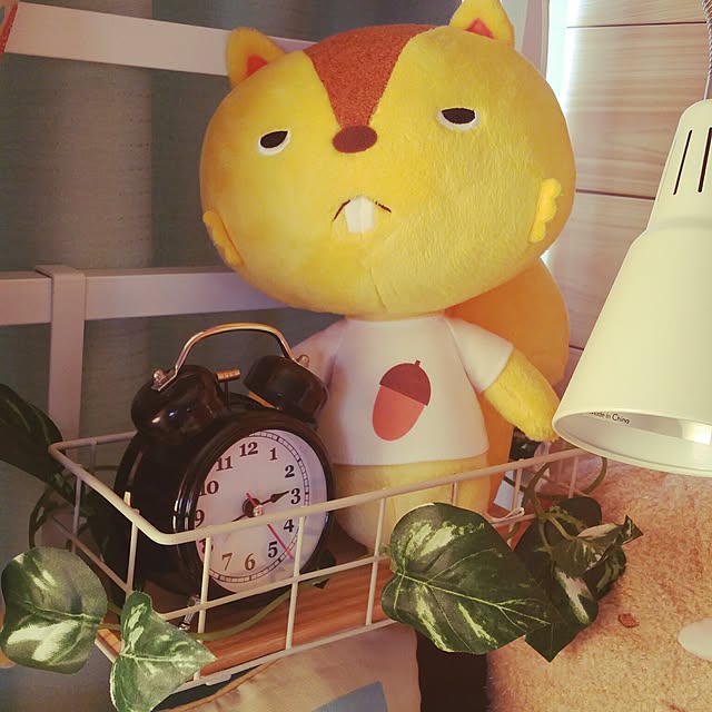 akaneさんの実例写真
