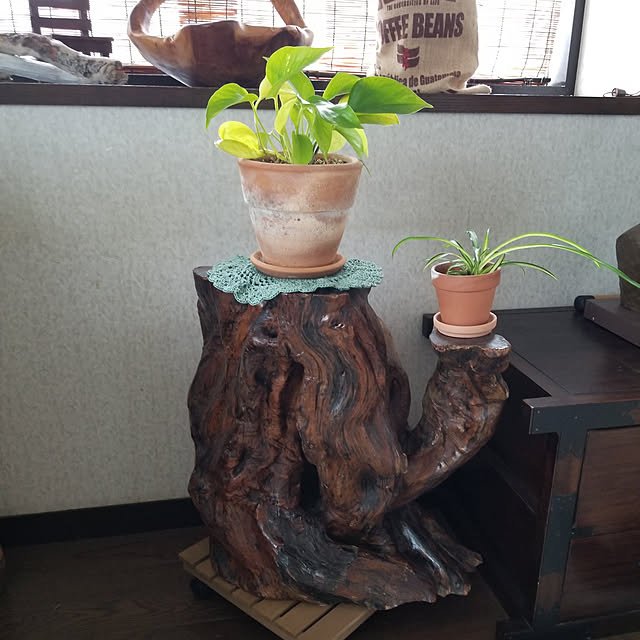 midoriさんの実例写真