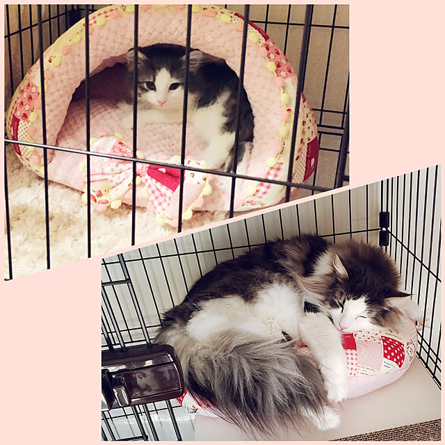mofさんの実例写真