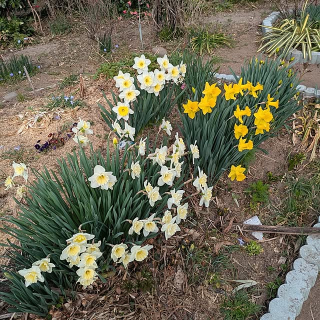 minnieさんの部屋