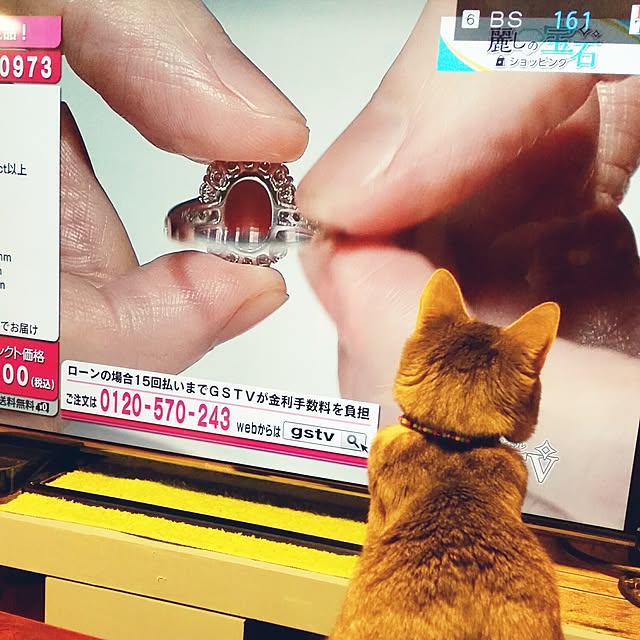 oyumiさんの実例写真