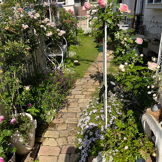sakuraさんの部屋