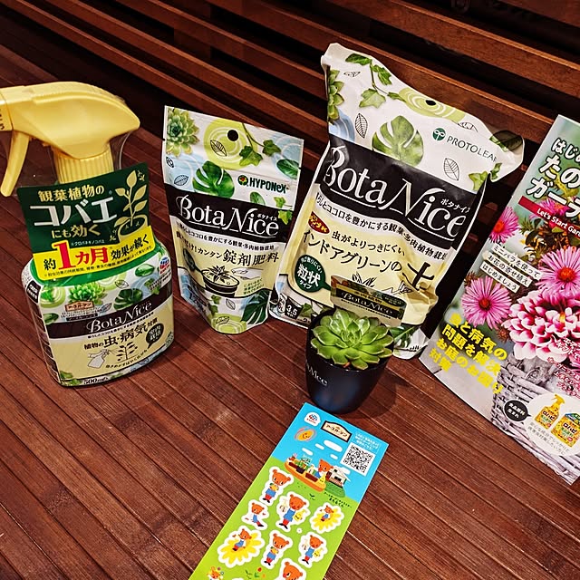 玄関/入り口/観葉植物/多肉植物/植物のある暮らし/虫対策...などのインテリア実例 - 2024-06-04 20:21:25