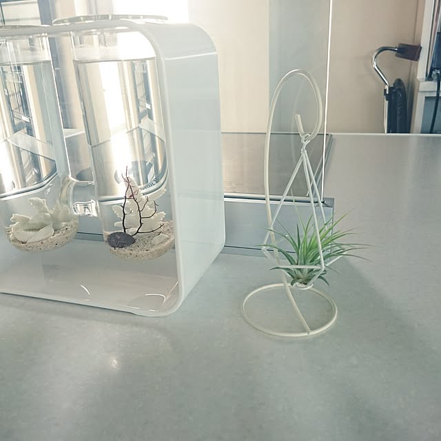 Bottega.Acqua.さんの実例写真