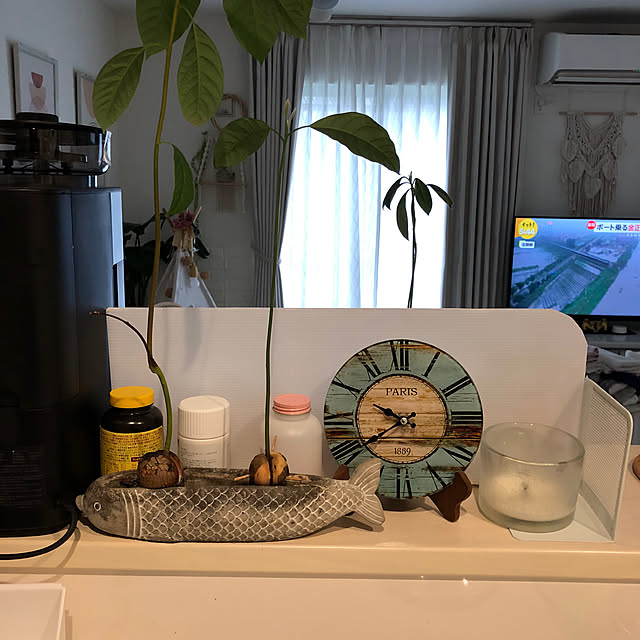 mikenekoさんの部屋