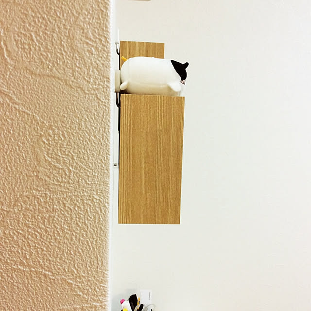 Mikaさんの実例写真