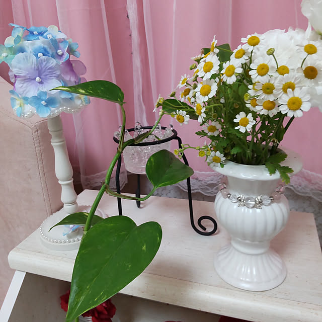 neoyukikoさんの実例写真