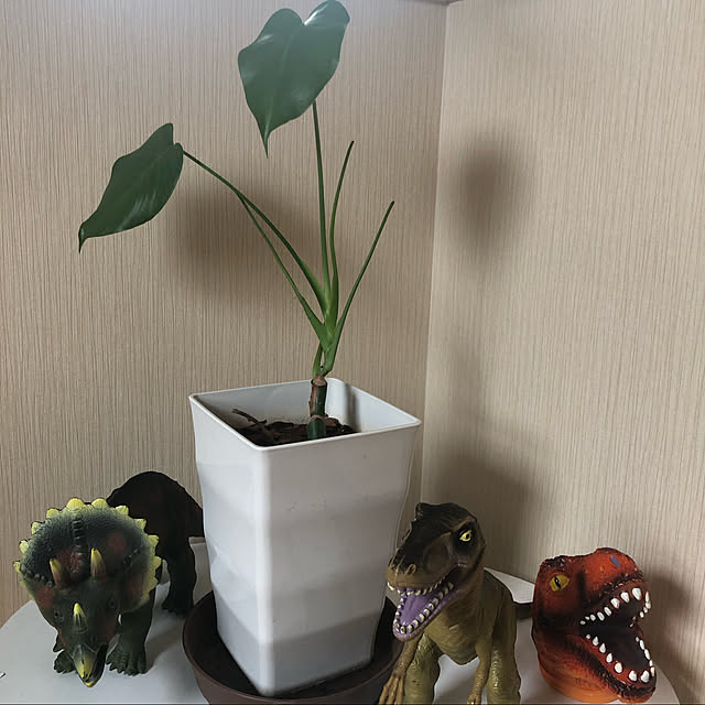 sakiさんの実例写真