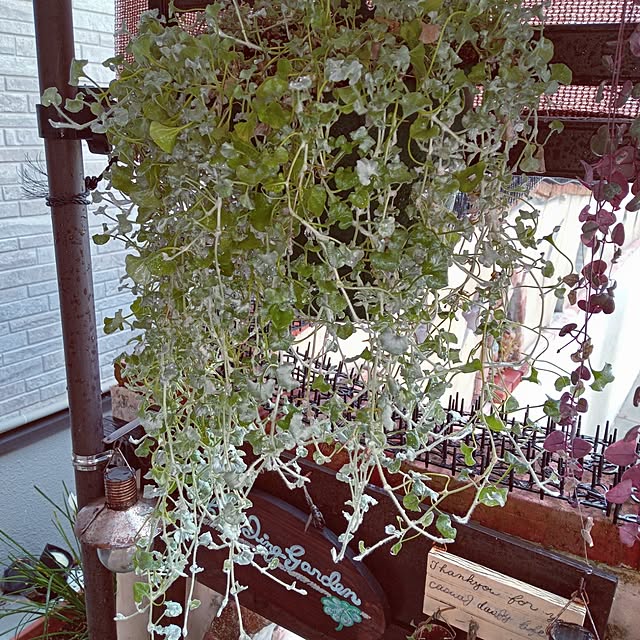 mocomocoさんの部屋