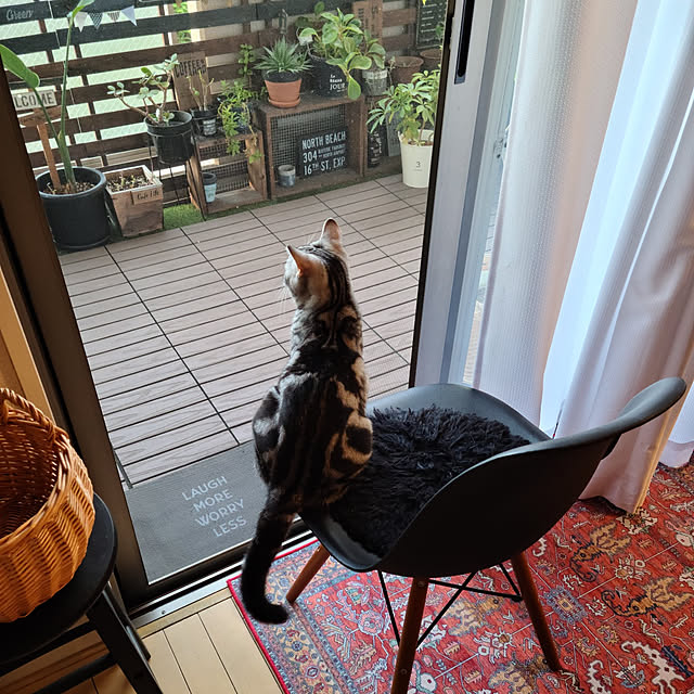 lovepeaceさんの実例写真