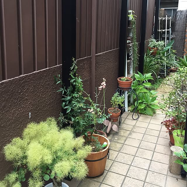 haruさんの実例写真