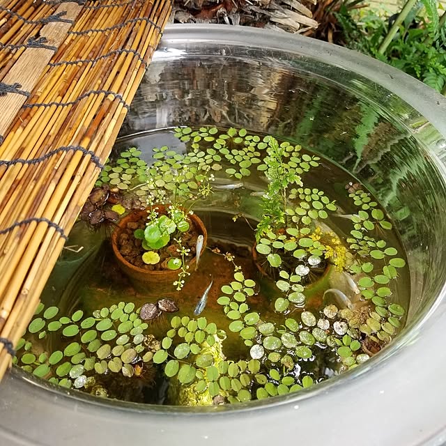 midoriさんの部屋