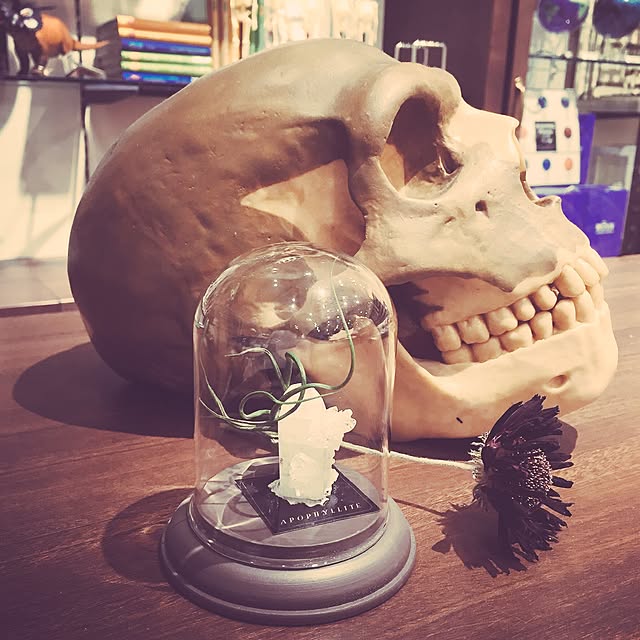 Tomohiroさんの実例写真