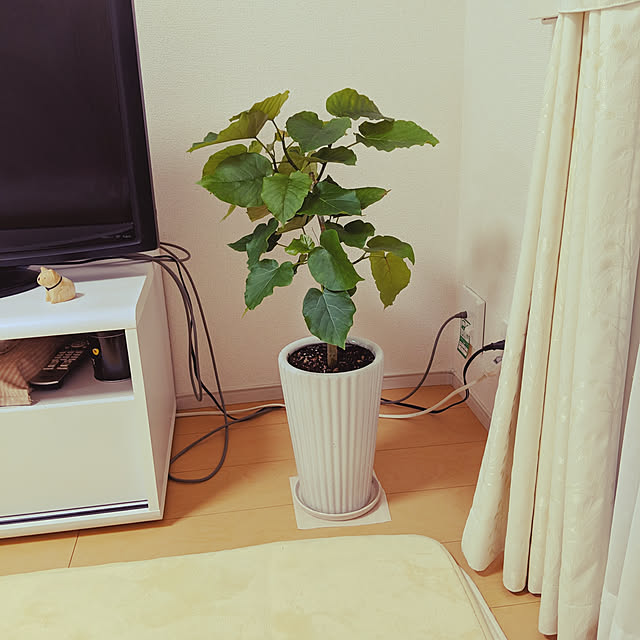 kirikoさんの実例写真