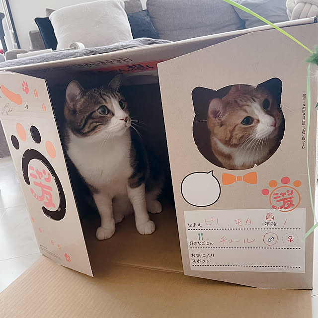 maimaiさんの実例写真