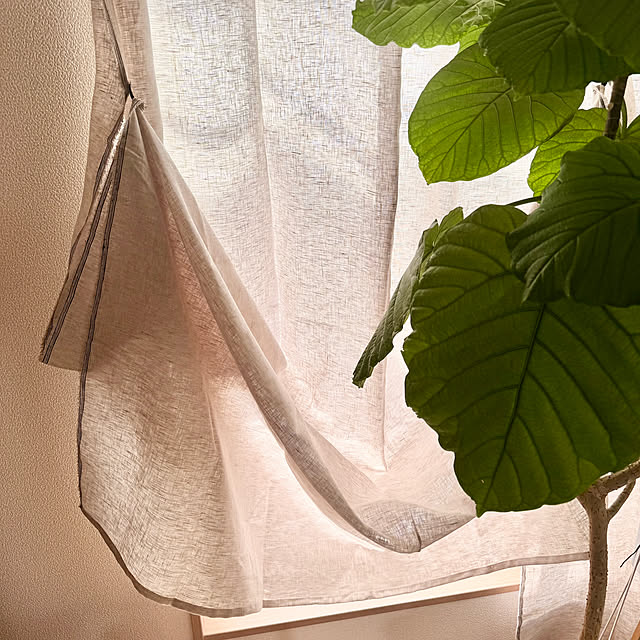 masumiさんの部屋