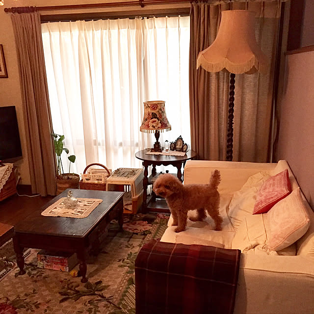 okarinさんの実例写真