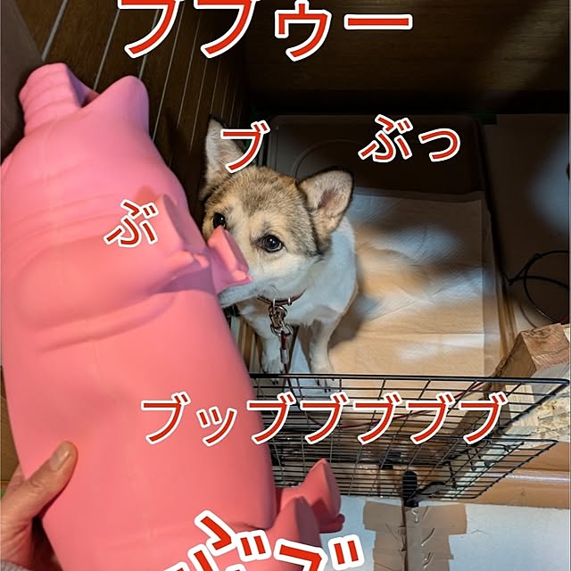 asaさんの部屋